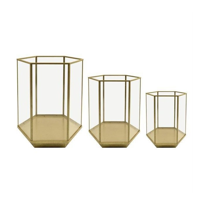 SET 3 TERRARIUM VETRO 350X300X